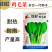 绿领铁杆鸡毛菜种子耐热耐湿小青菜种子生长快