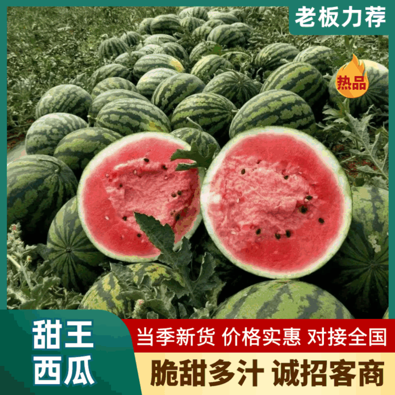 甜王西瓜品质保证大量现货产地直发价格美丽欢迎联系沟通