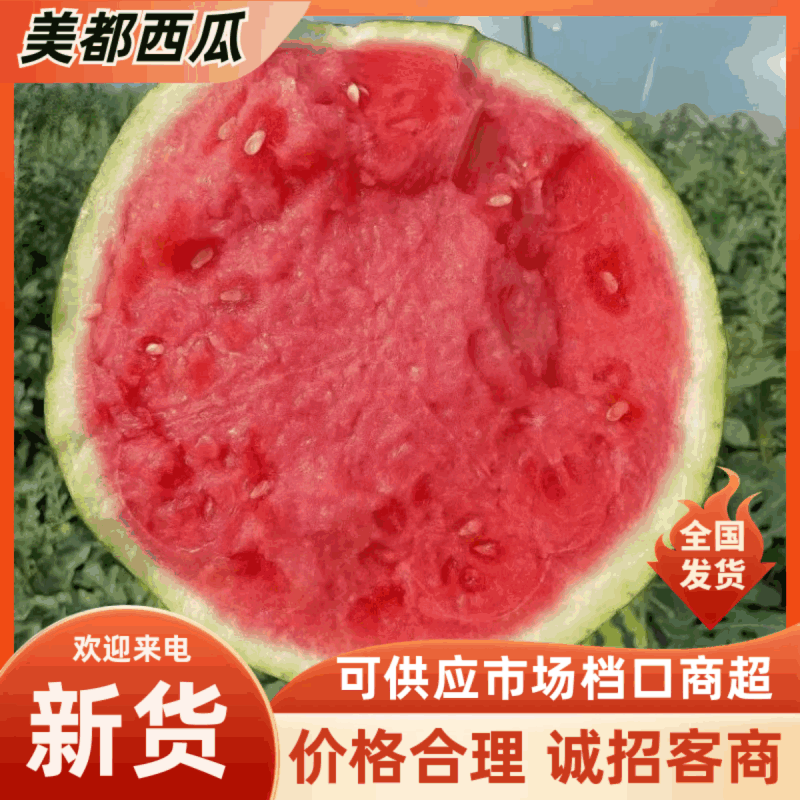 美都西瓜品质保证服务周到一手货源产地直发价格美丽欢迎联系