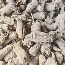 优选白术干货安徽太和基地直供质量保证货源充足量大优惠