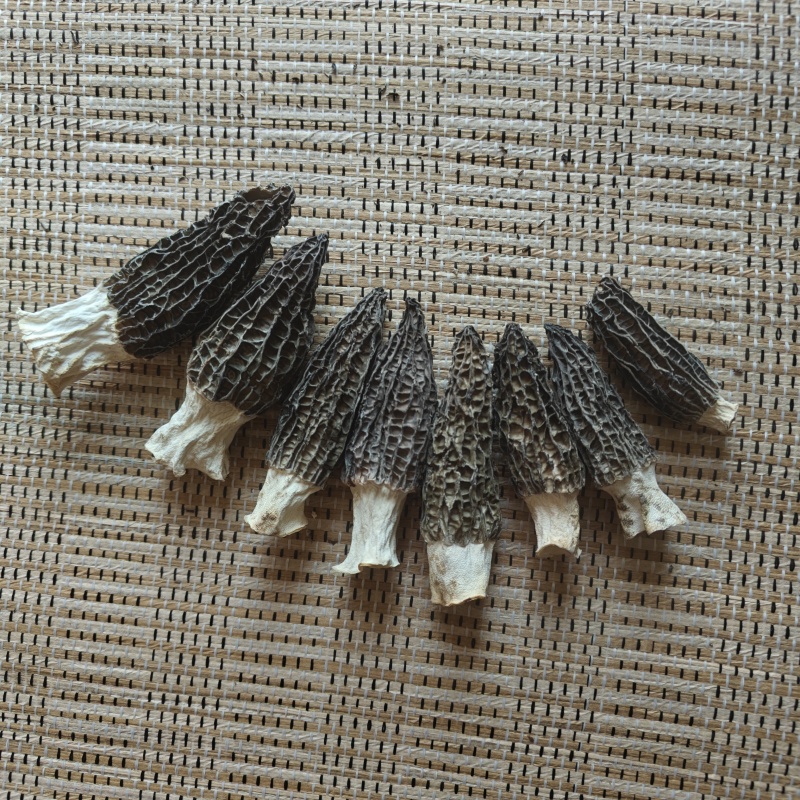羊肚菌干货，自己种植的烘干货，大中小等级都有，需要的联系