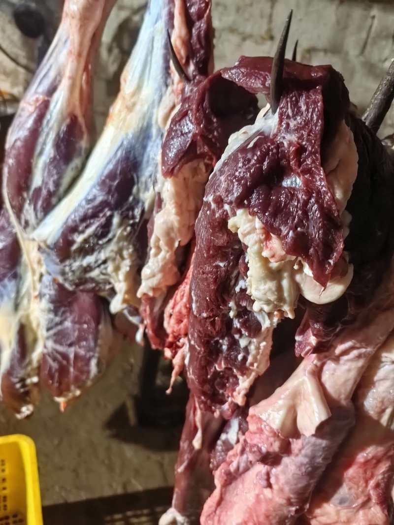 小黄牛肉33/牛肉/自产自销对接批发采购欢迎电话咨询
