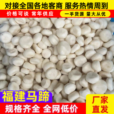 《广西毛马蹄》白马蹄/去皮新鲜马蹄/真空包装便宜