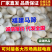 新鲜去皮马蹄/湖北荸荠/即食真空水果地梨削皮地栗批发