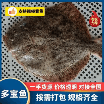 三去多宝鱼优选货源经验丰富冷链运输成活率高按需求分拣打包