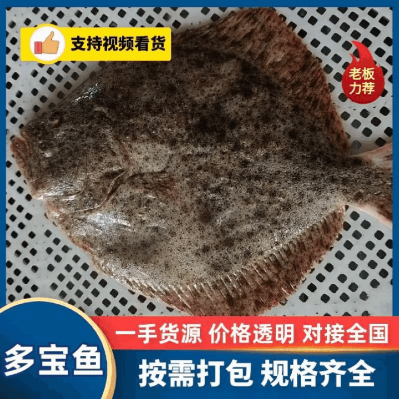 三去多宝鱼优选货源经验丰富冷链运输成活率高按需求分拣打包
