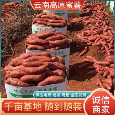 云南西瓜红红薯/高原蜜薯/包箱子包上车/规格齐全/全国发