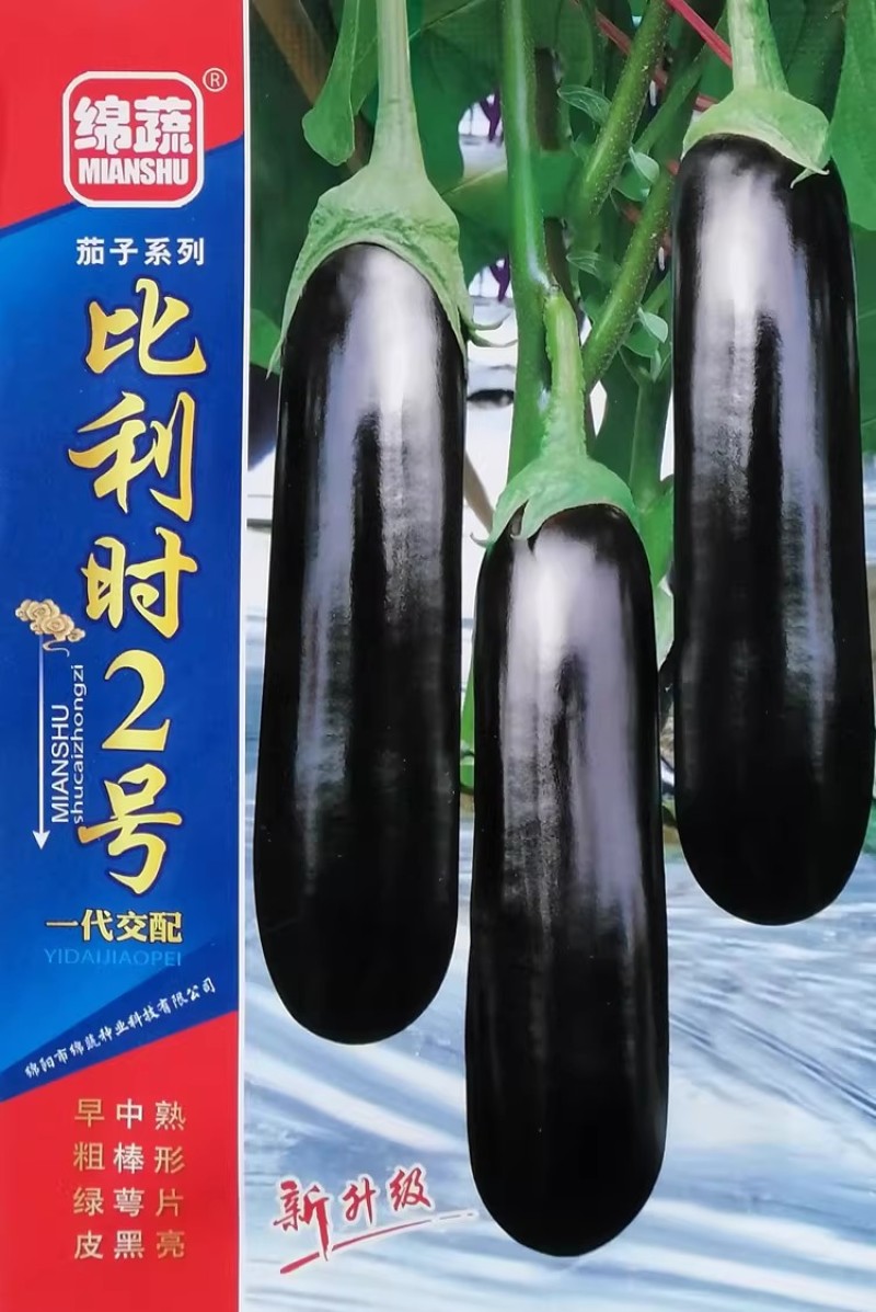 比利时2号绿萼黑茄种子黑油亮粗棒形茄子种籽绿盖绿把黑长茄