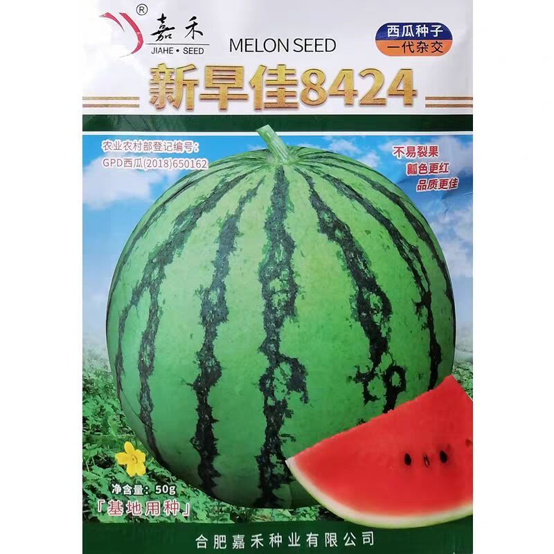 新早佳8424西瓜种子早熟薄皮圆瓜肉质细嫩酥脆甜麒麟西瓜