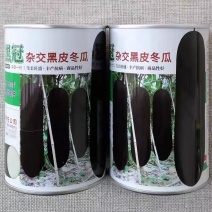 黑冠杂交黑皮冬瓜种子趴地吊瓜两用型冬瓜种籽肉质紧密抗病