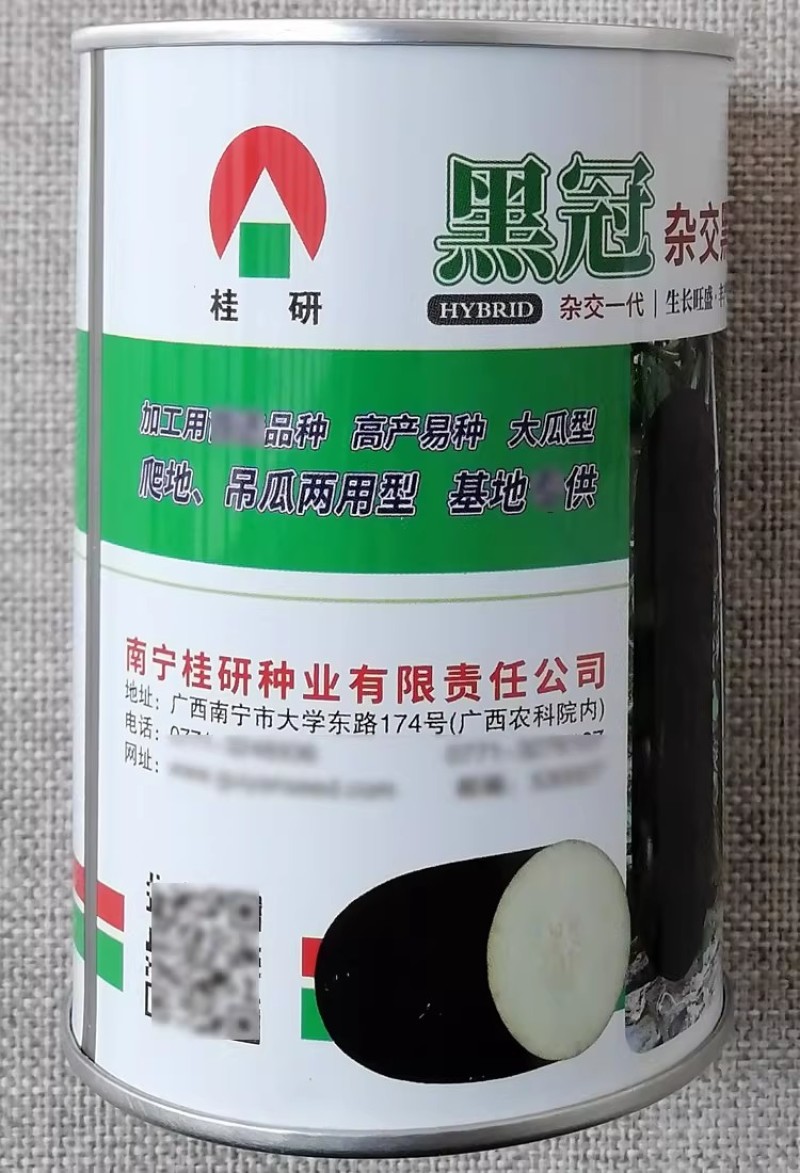 黑冠杂交黑皮冬瓜种子趴地吊瓜两用型冬瓜种籽肉质紧密抗病