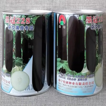 墨冠228杂交黑皮冬瓜种子炮弹形墨绿皮冬瓜种籽抗病高产