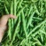 四川架豆王豆角基地一手货源对接电商市场商超