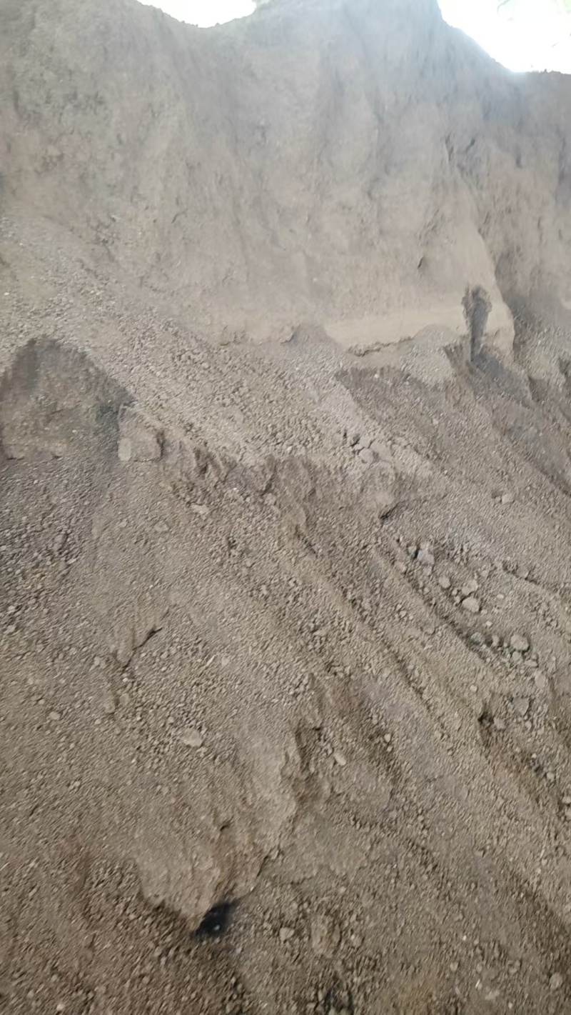 育肥羊板粪品质保证服务周到产地直发价格美丽产地直发