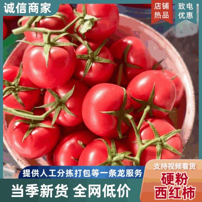 硬粉沙瓤西红柿货源充足量大从优