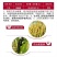 30%肟菌·戊唑醇水稻稻瘟病白粉病锈病赤霉病早疫病杀菌剂