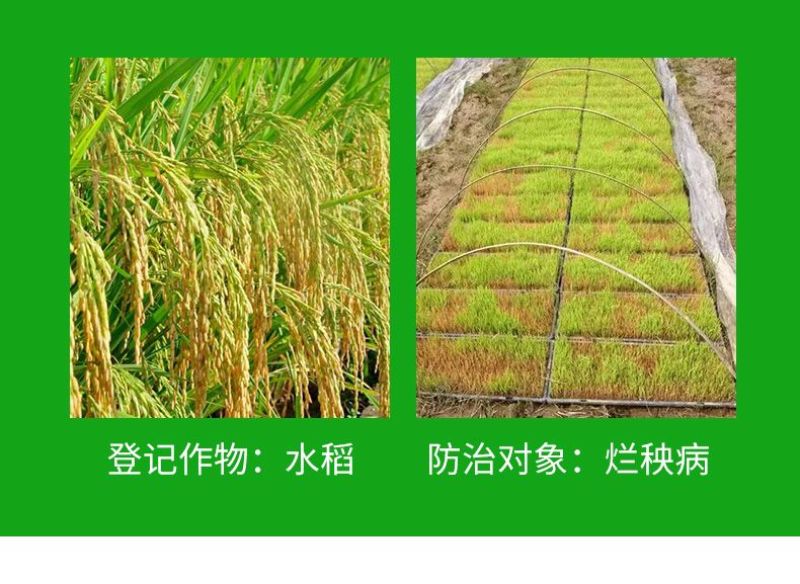 80%乙蒜素真菌细菌根腐病烂秧病枯萎病青枯病青苔杀菌剂