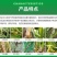 30%肟菌戊唑醇杀菌剂白粉病炭疽病稻曲病叶斑病锈病疫病