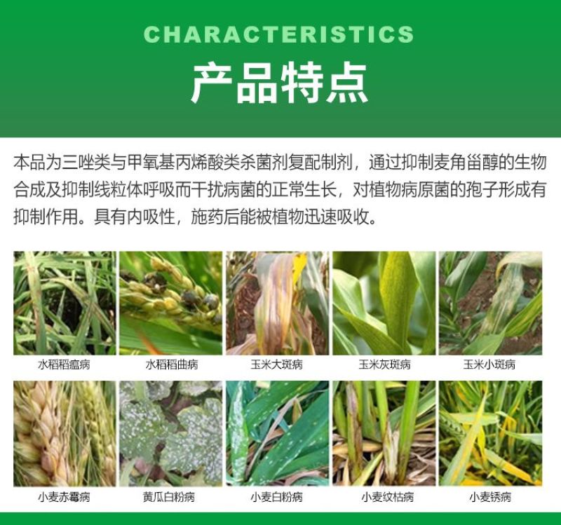 30%肟菌戊唑醇杀菌剂白粉病炭疽病稻曲病叶斑病锈病疫病