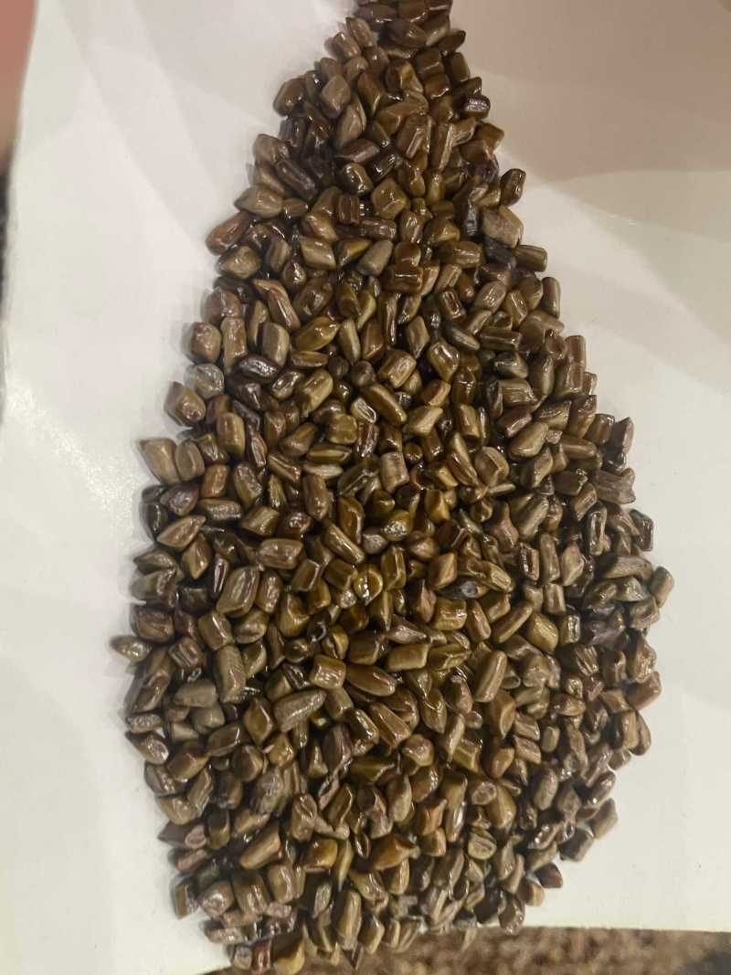 决明子
