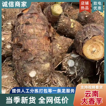 云南大香芋粉糯香，产地直发一手货源，全国接单，诚信代办