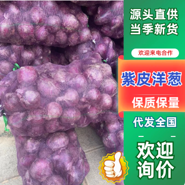云南洋葱/紫皮小洋葱/产地直发规格齐全/诚信代发全国