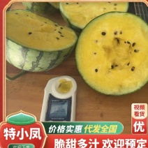 【热卖】精品特小凤西瓜货源充足产地直发保质保量欢迎采购