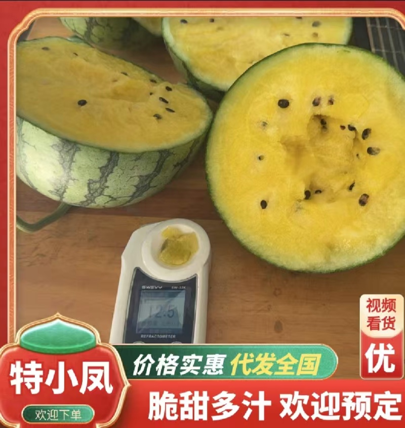 【热卖】精品特小凤西瓜货源充足产地直发保质保量欢迎采购