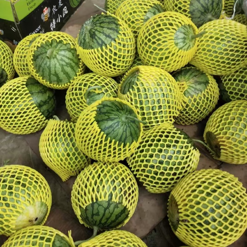 【热卖】精品特小凤西瓜货源充足产地直发保质保量欢迎采购