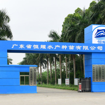 ***养殖场直供鱼苗