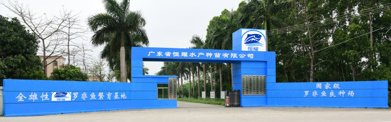***养殖场直供鱼苗