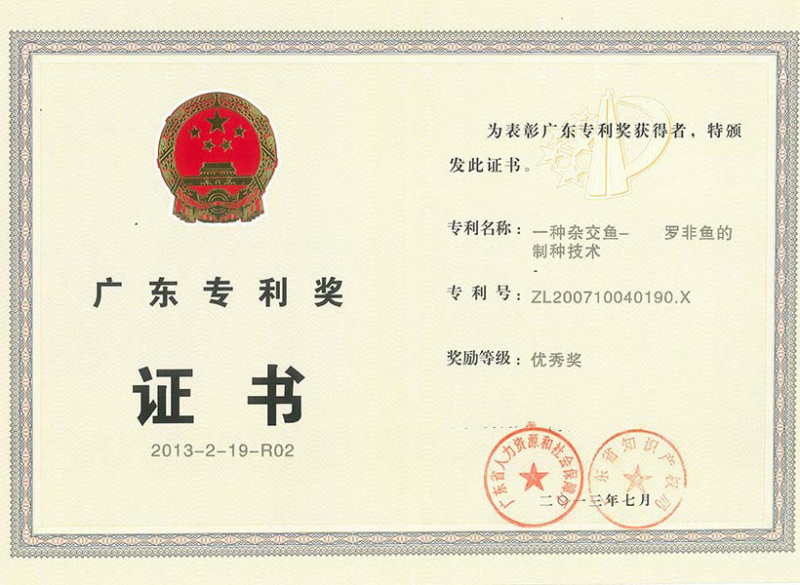 ***养殖场直供鱼苗