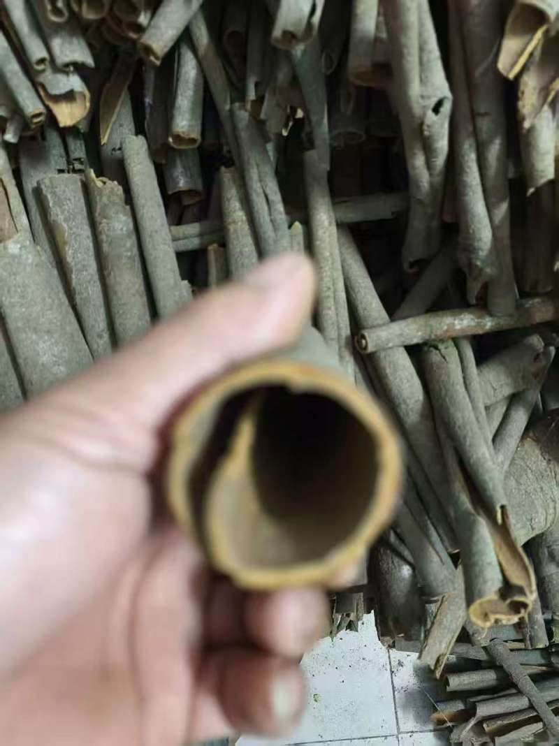 广西产地肉桂，调料肉桂对接大型批发市场价格合理全国发货