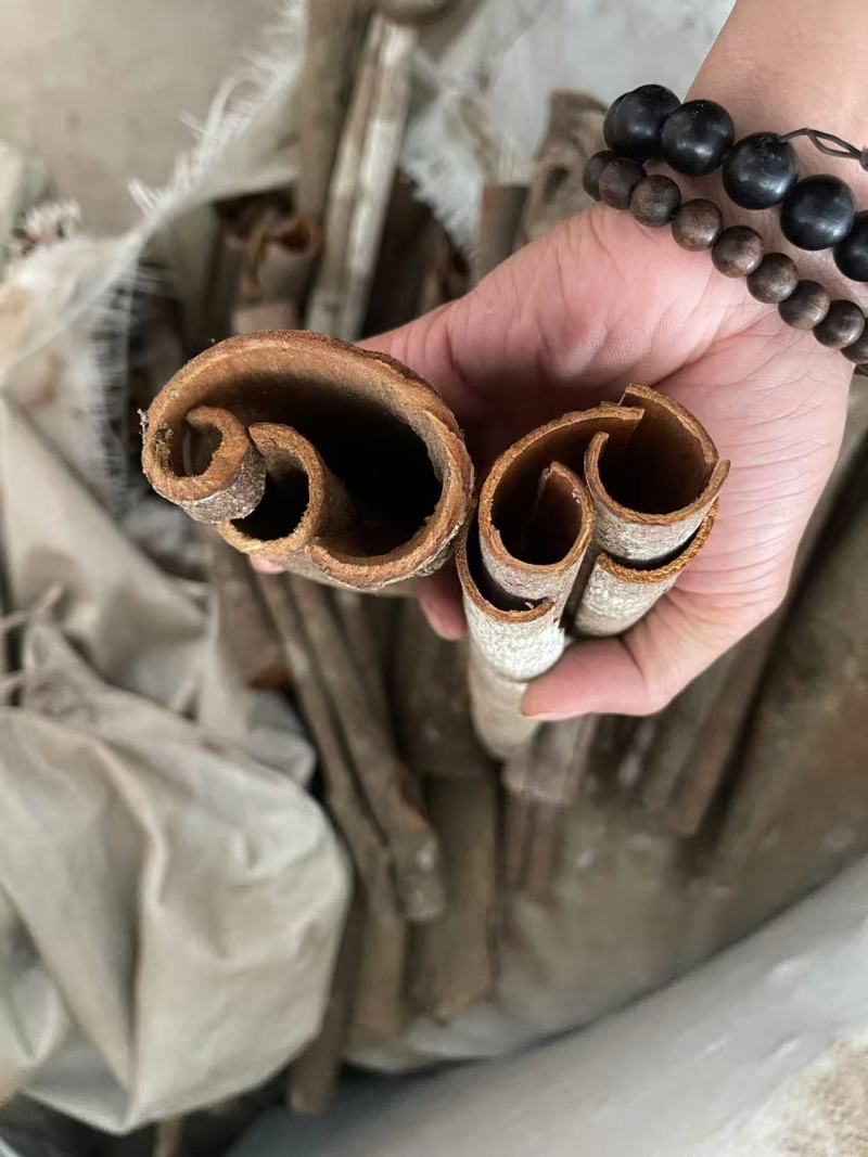 广西产地肉桂，调料肉桂对接大型批发市场价格合理全国发货