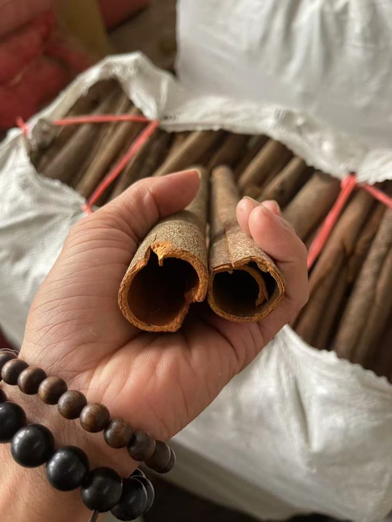 广西产地肉桂，调料肉桂对接大型批发市场价格合理全国发货