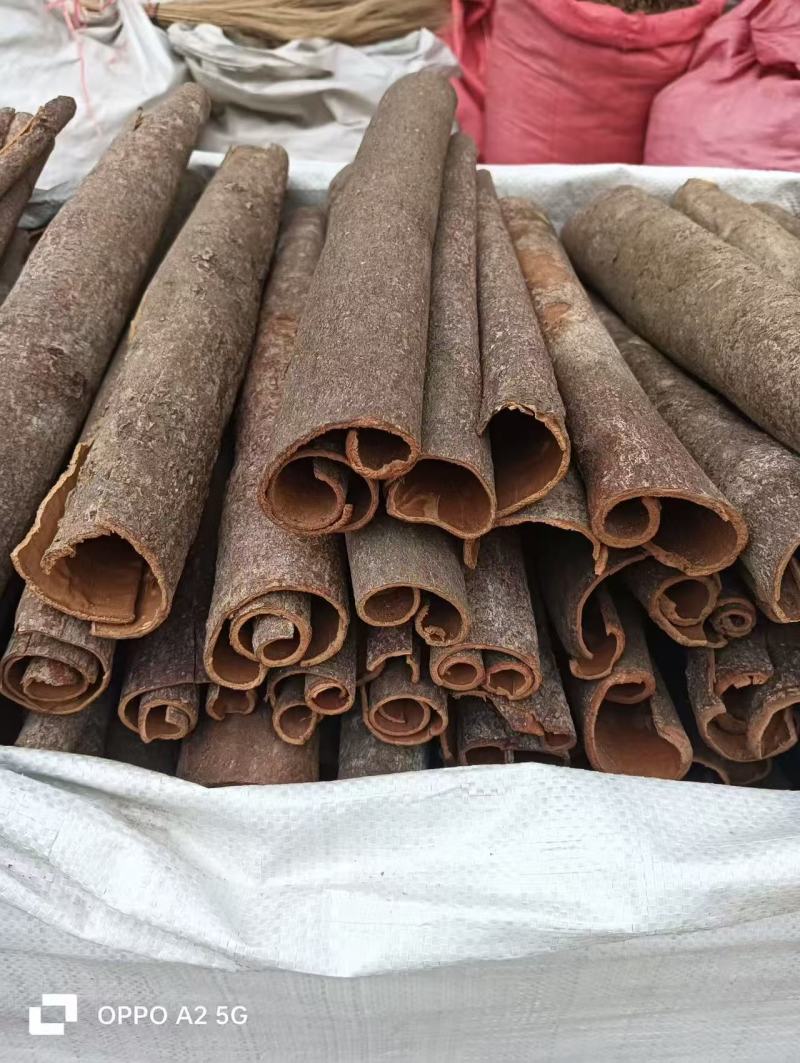 广西产地肉桂，调料肉桂对接大型批发市场价格合理全国发货