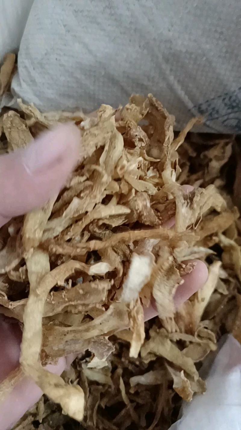湖南玉竹皮新鲜无硫玉竹干货自有基地种植玉竹干片