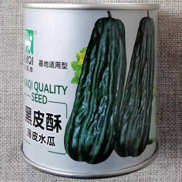 黑皮酥种子薄皮水瓜菜瓜酥脆多汁早熟高产抗病黑皮棱子酥种籽