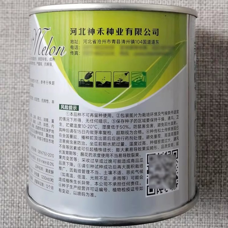 黑皮酥种子薄皮水瓜菜瓜酥脆多汁早熟高产抗病黑皮棱子酥种籽