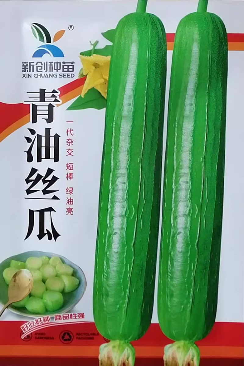 青油丝瓜种子杂交短棒绿油亮丝瓜种籽油皮香丝瓜优质味浓肉厚