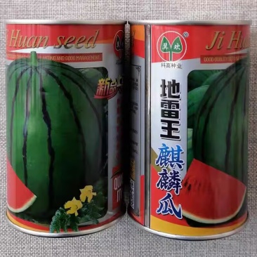 地雷王麒麟西瓜种子中晚熟耐低温西瓜种籽果实圆形质脆多汁