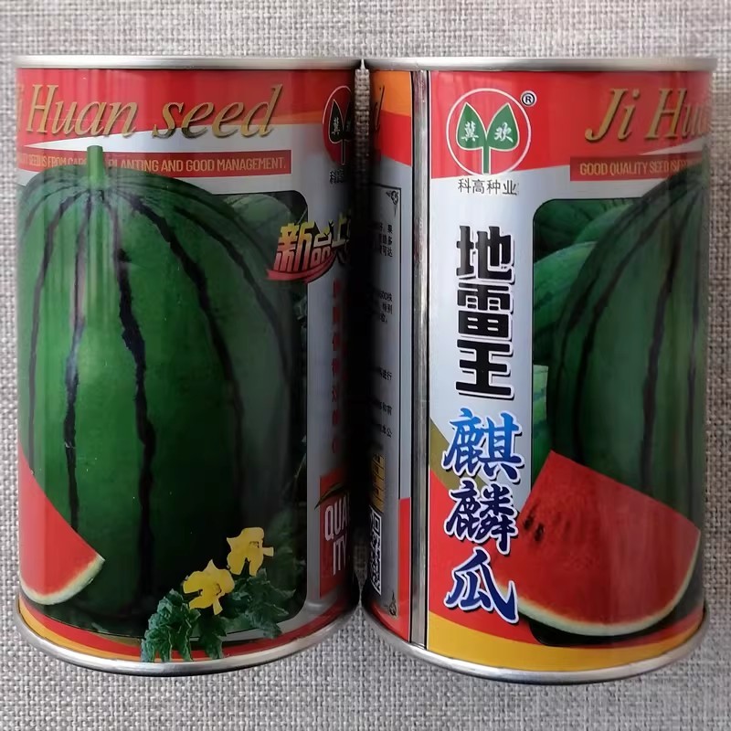 地雷王麒麟西瓜种子中晚熟耐低温西瓜种籽果实圆形质脆多汁