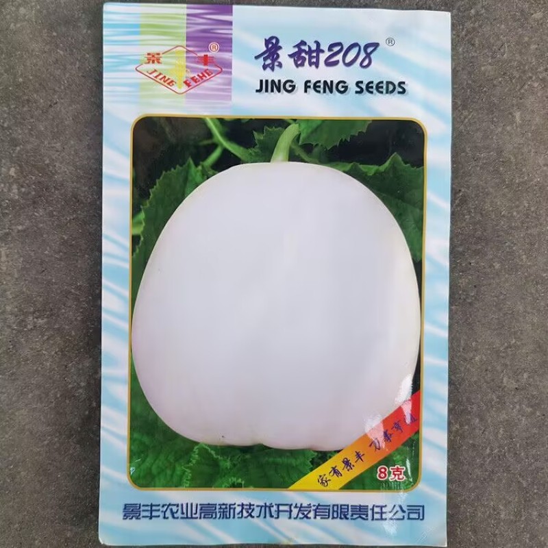 景甜208薄皮白甜瓜种子大棚露地小白瓜白沙蜜种籽脆甜清香