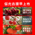 五氨基乙酰丙酸农用水剂5-ala转色增甜着色叶面肥