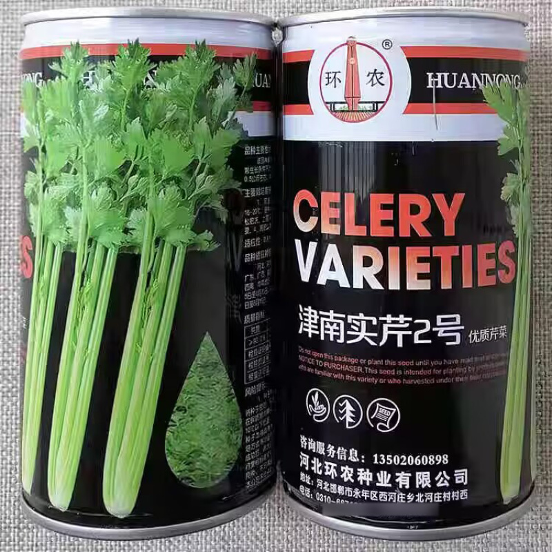 津南实芹2号实心芹菜种子高产抗病耐寒浅绿肉质鲜嫩香芹种籽