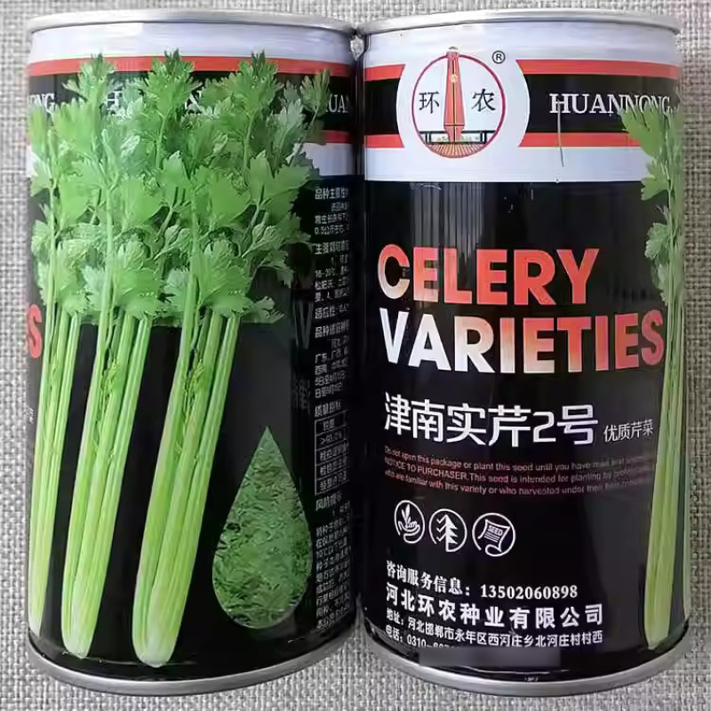 津南实芹2号实心芹菜种子高产抗病耐寒浅绿肉质鲜嫩香芹种籽