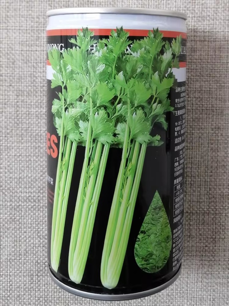津南实芹2号实心芹菜种子高产抗病耐寒浅绿肉质鲜嫩香芹种籽