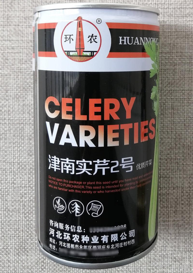 津南实芹2号实心芹菜种子高产抗病耐寒浅绿肉质鲜嫩香芹种籽