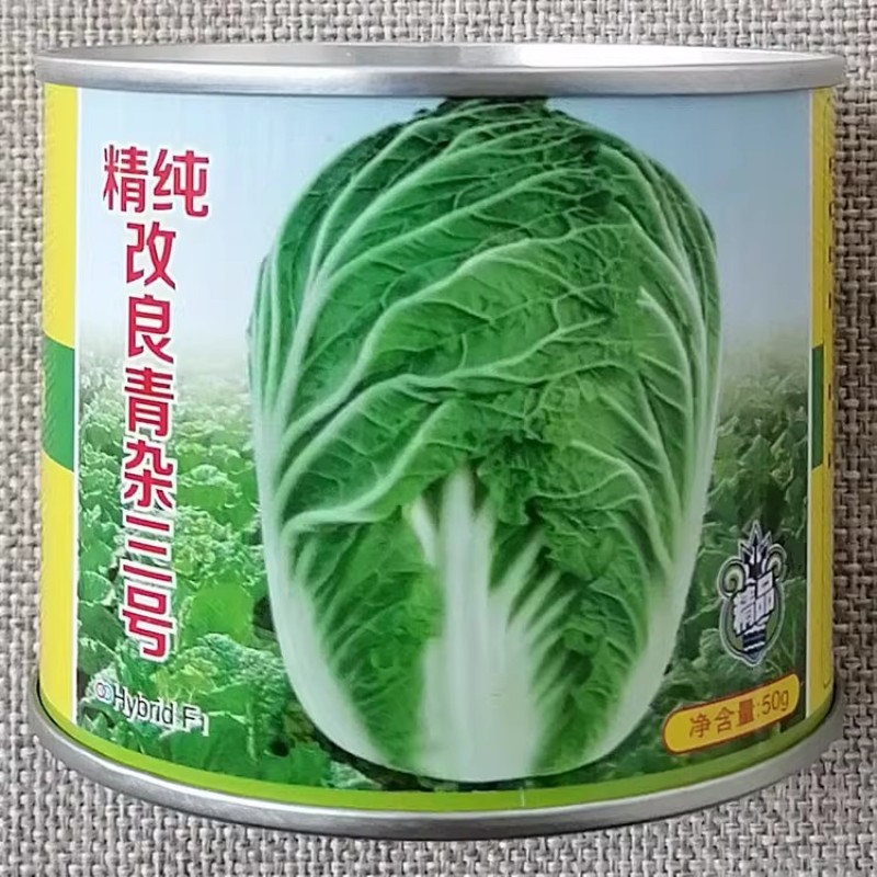 精纯改良青杂三号大白菜种子净菜率高秋季抗病高产耐寒白菜种