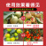 虾红素叶面肥高磷高钾着色增甜转色柑橘果树草莓催红水溶肥
